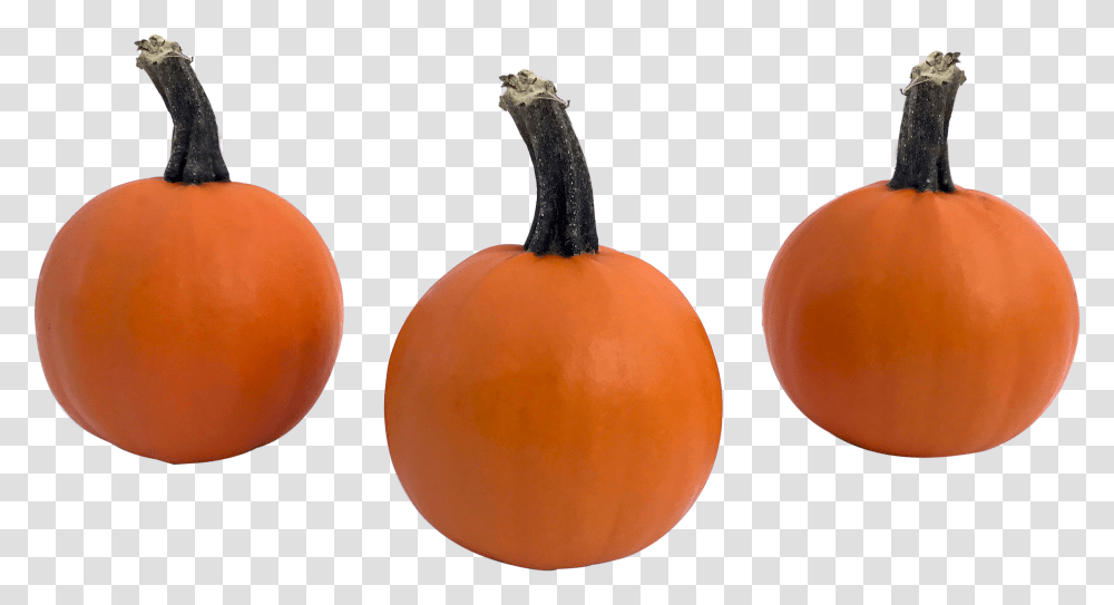 Weeb 1 Pumpkin, Plant, Vegetable, Food, Produce Transparent Png