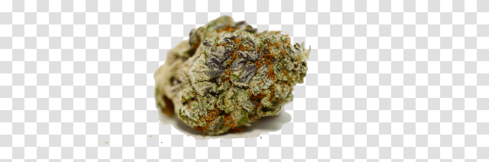 Weed Bud, Plant, Moss, Vegetable, Food Transparent Png
