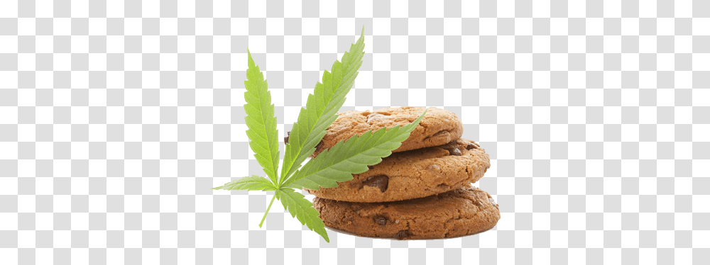 Weed Cannabis Lead And Cookies Edible Cbd, Plant, Leaf, Food, Hemp Transparent Png
