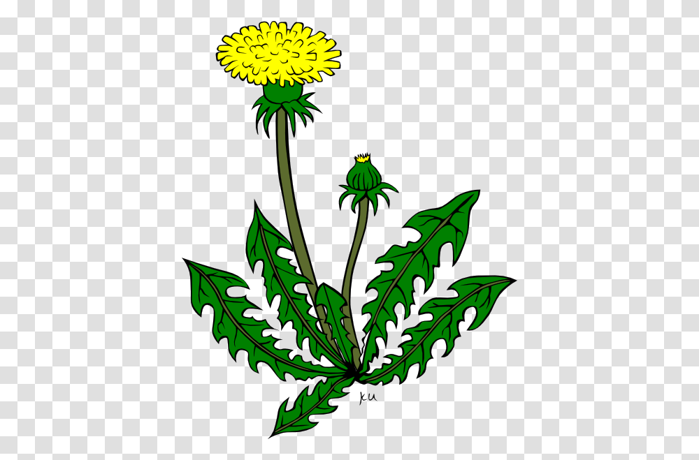 Weed Clip Art, Plant, Flower, Blossom, Thistle Transparent Png
