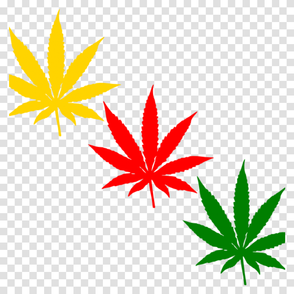 Weed Clip Art Weed Leaf, Plant, Maple Leaf, Tree Transparent Png