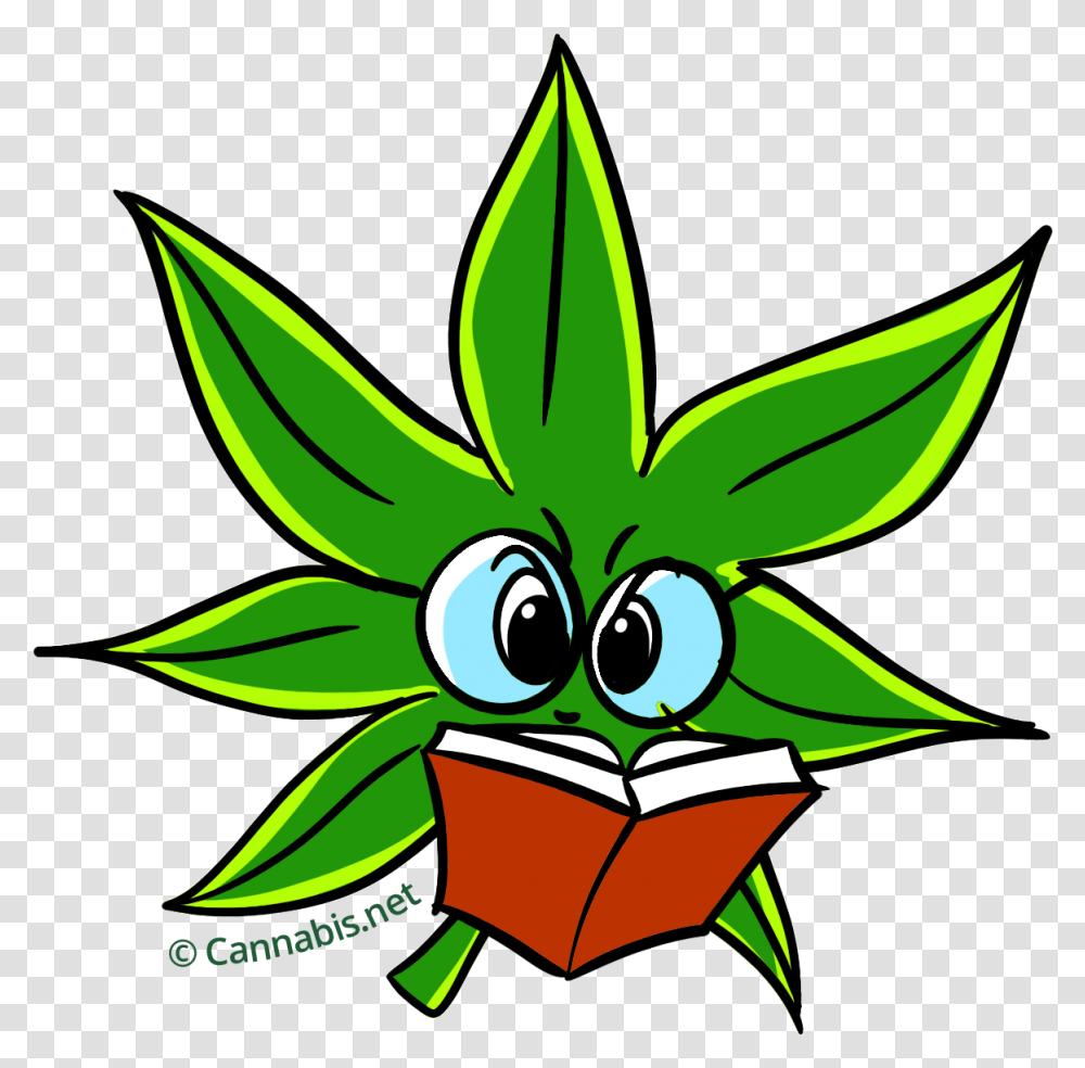 Weed Clipart Cartoon Marijuana Leaf Cartoon, Plant, Green Transparent Png