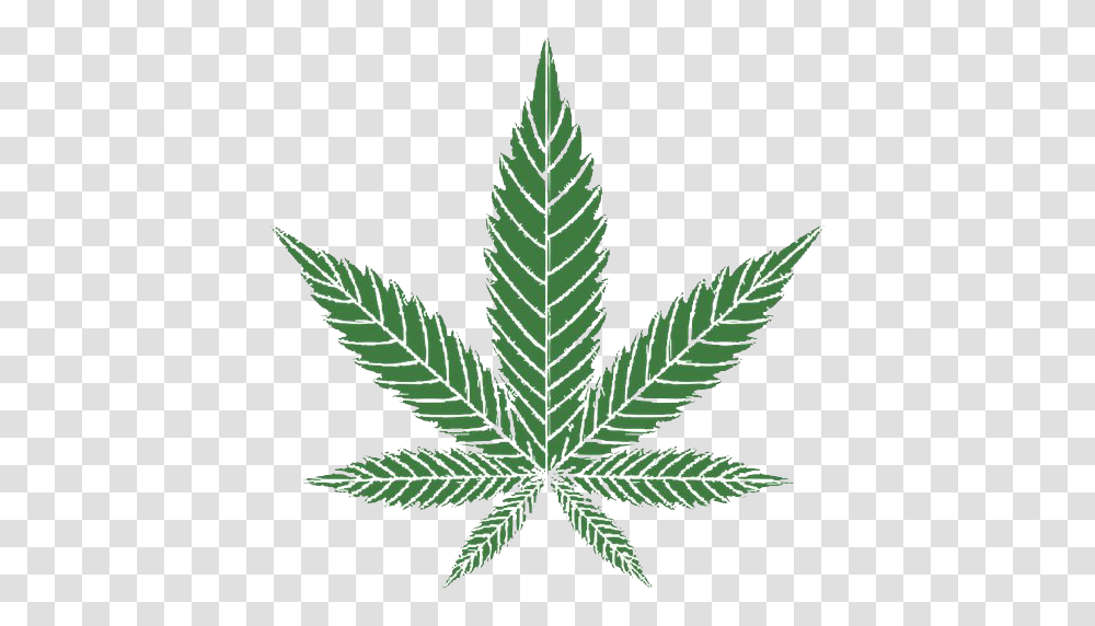 Weed Clipart Free Mlg Weed, Plant, Leaf, Christmas Tree, Ornament Transparent Png