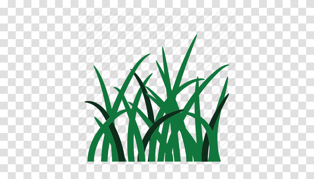 Weed Clipart Grass Root, Plant, Vegetation, Word Transparent Png