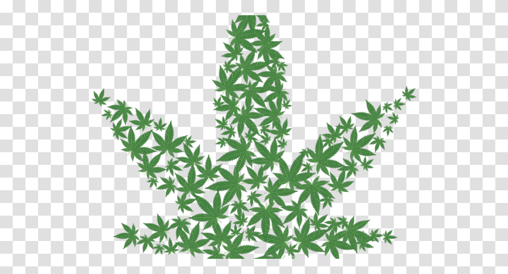 Weed Clipart Illegal Drug Marijuana Clipart, Tree, Plant, Ornament, Pattern Transparent Png
