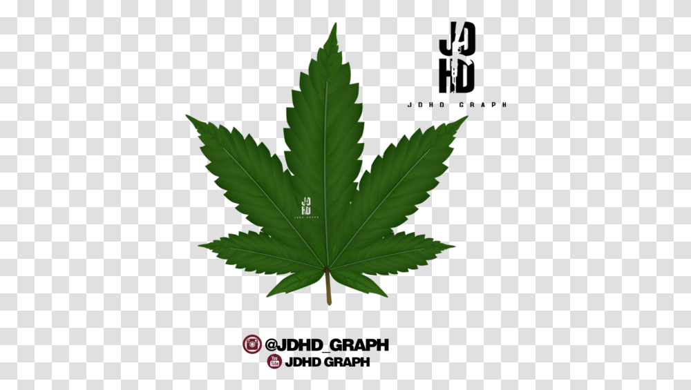 Weed Clipart, Leaf, Plant, Maple Leaf, Hemp Transparent Png