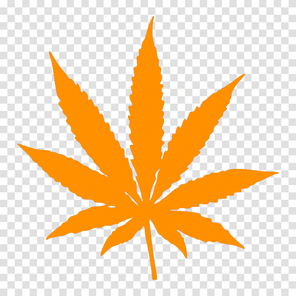 Weed Files Clipart Orange Marijuana Leaf, Plant, Tree, Bonfire, Flame Transparent Png