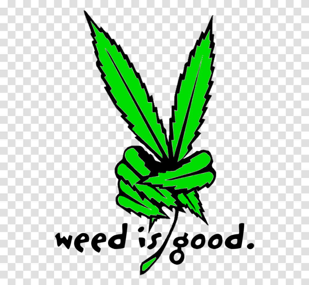 Weed Funny, Plant, Leaf, Hemp Transparent Png