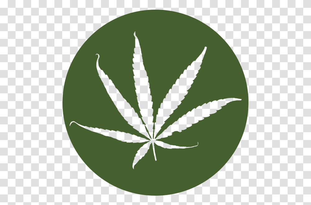Weed Icon, Plant, Leaf, Insect, Invertebrate Transparent Png