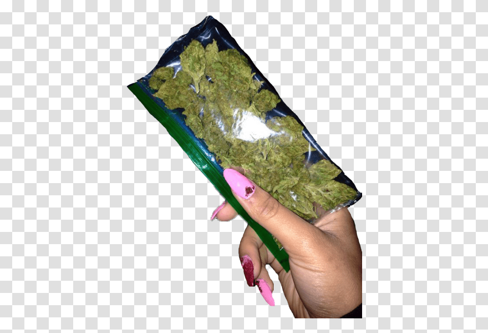 Weed In Girls Hand, Person, Human, Gemstone, Jewelry Transparent Png