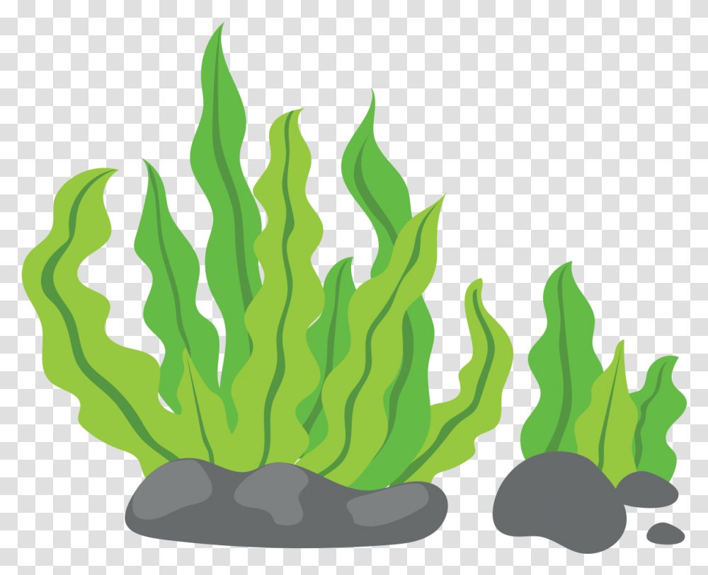 Weed Joint Seaweed Cartoon, Painting Transparent Png