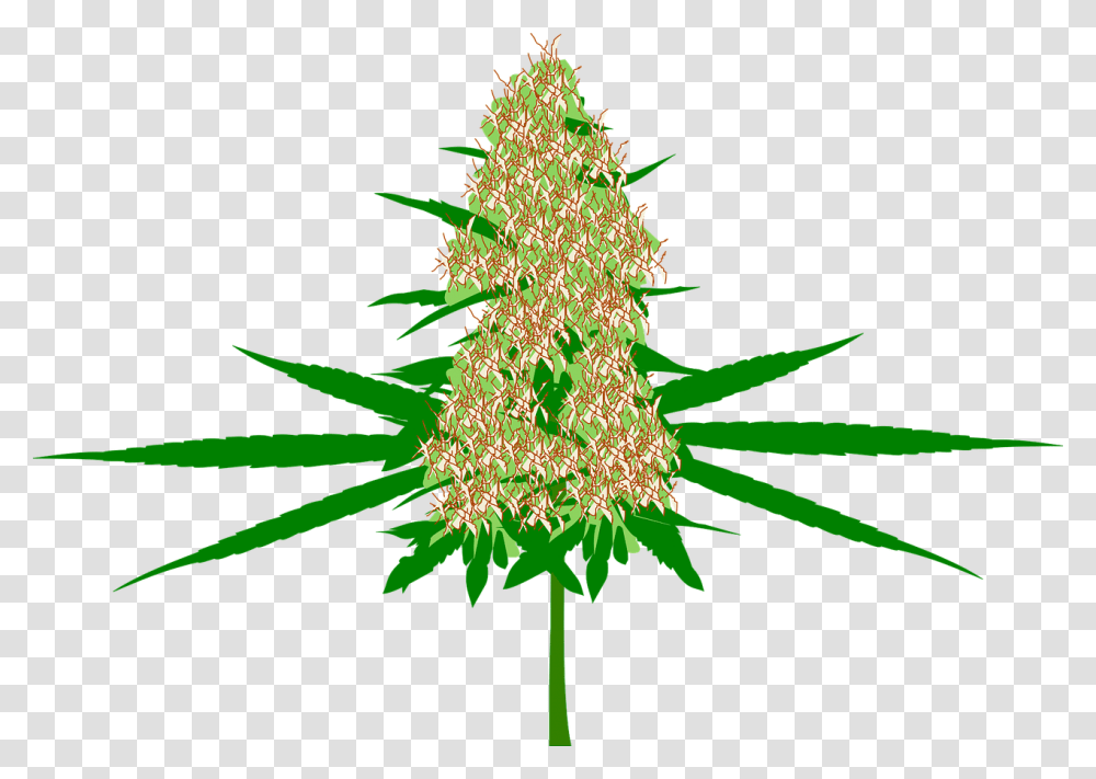 Weed Leaf Background Weed Bud Cartoon, Tree, Plant, Ornament, Christmas Tree Transparent Png
