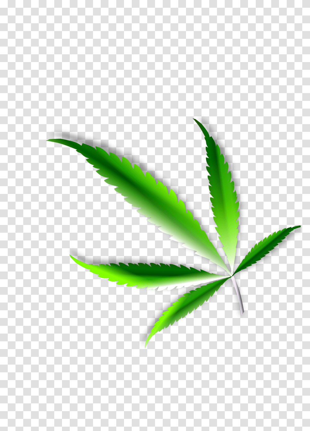 Weed Leaf Cannabis Leaf Transparency, Plant, Hemp Transparent Png