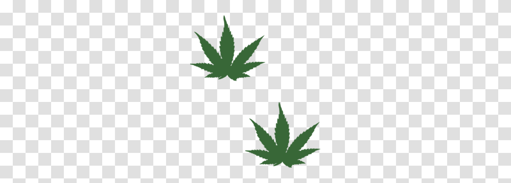 Weed Leaf Clip Art, Plant, Tree, Maple Leaf, Hemp Transparent Png