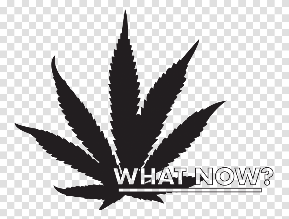 Weed Leaf Marijuana Leaf Clipart, Plant, Poster, Advertisement, Maple Leaf Transparent Png