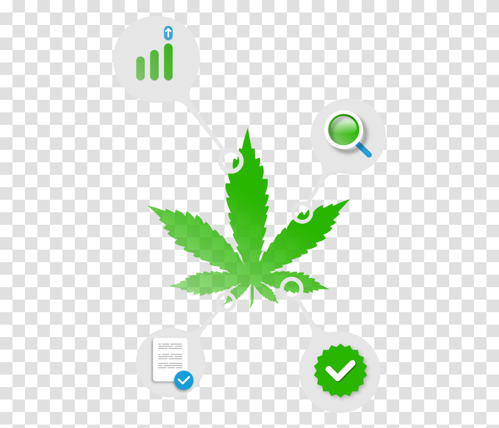 Weed Leaf, Plant, Green, Tree, Seed Transparent Png