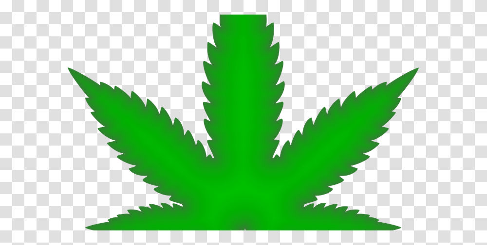 Weed, Leaf, Plant, Green, Tree Transparent Png