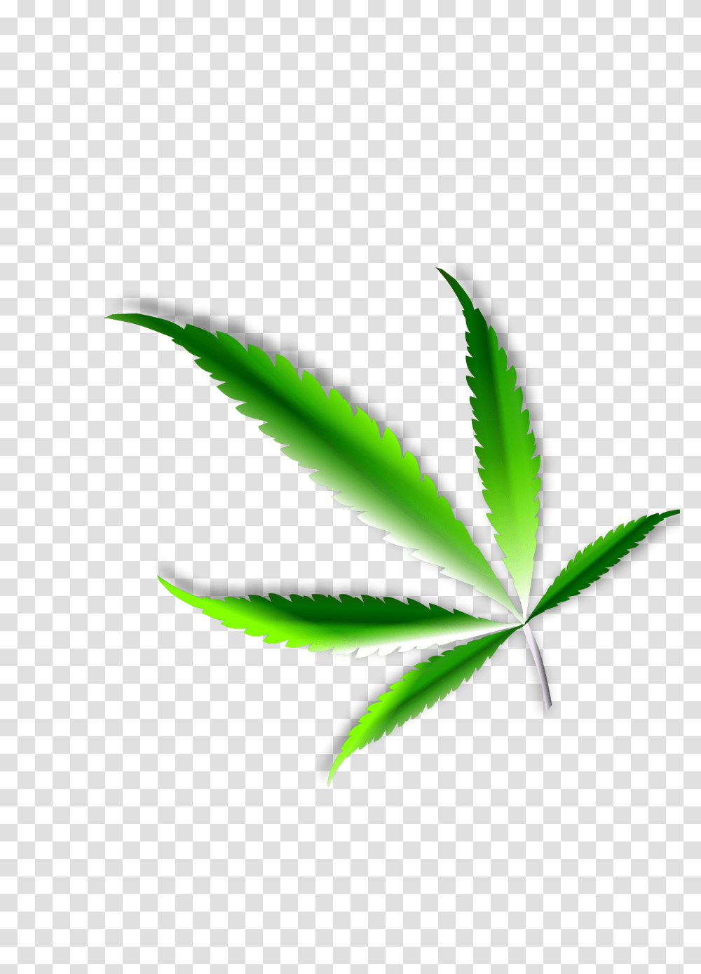 Weed Leaf, Plant, Hemp Transparent Png