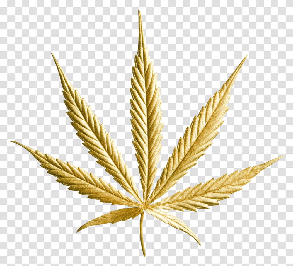 Weed Leaf, Plant, Hemp Transparent Png