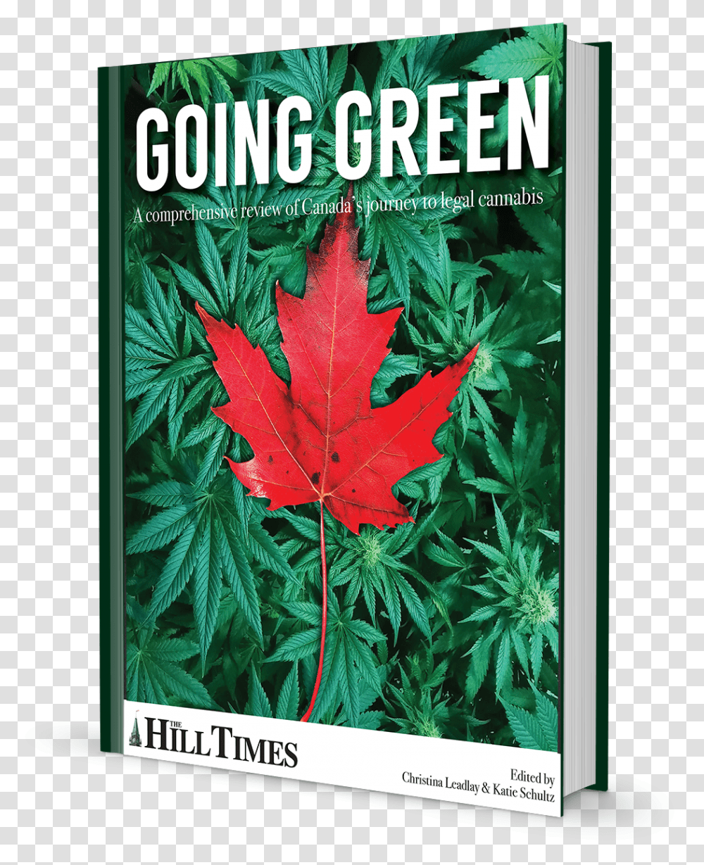 Weed Leaf, Plant, Tree, Maple Leaf, Poster Transparent Png