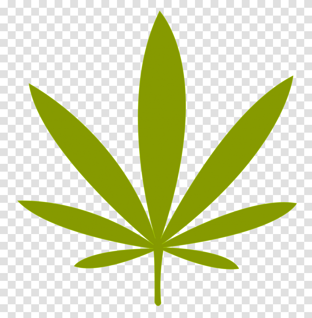 Weed Leaf Simple Marijuana Leaf, Plant, Flower, Blossom Transparent Png