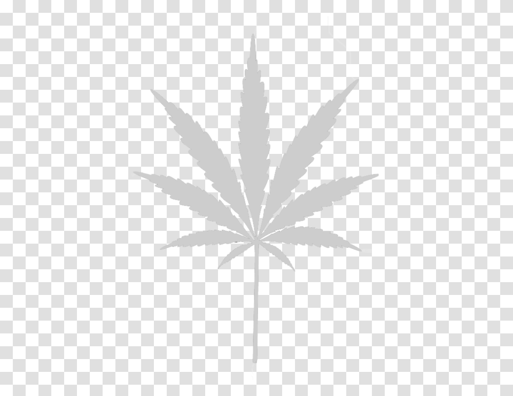 Weed Leaf Svg Cannabis Images In Collection Pot Leaf, Plant, Tree, Maple Leaf Transparent Png
