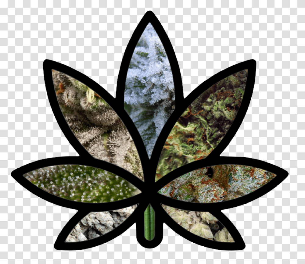 Weed Learn About The Stained Glass Art Pot Leaf, Plant, Pattern, Tree Transparent Png