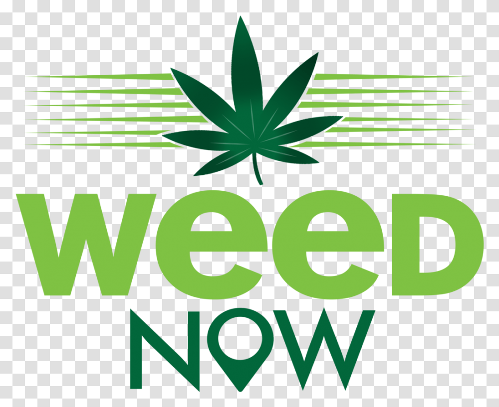 Weed Logo Weed Now, Vegetation, Plant, Green Transparent Png
