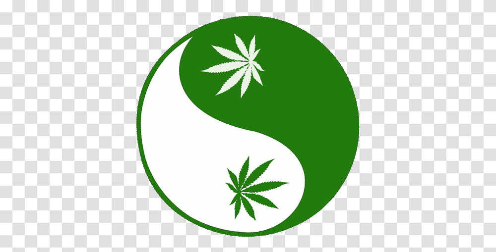 Weed Marijuana Animated Gif Images Animated Marijuana, Tennis Ball, Sport, Sports, Plant Transparent Png