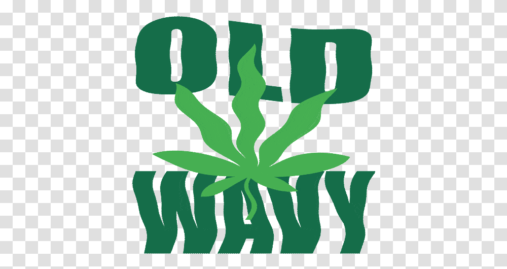 Weed Marijuana Animated Gif Images Best Animations Weed Wavy, Plant, Leaf, Text, Flower Transparent Png