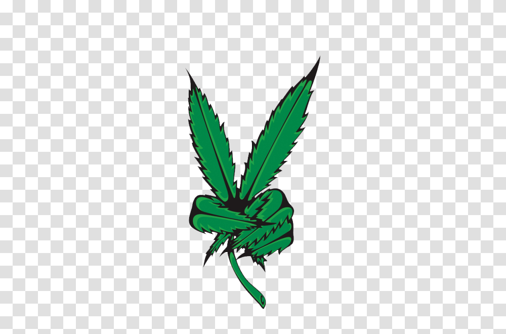 Weed Marijuana Ganja Bong High Stoned Pot Leaf, Plant, Hemp, Green Transparent Png