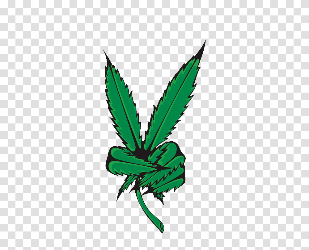 Weed Marijuana Pot Leaf T, Plant, Green, Hemp Transparent Png