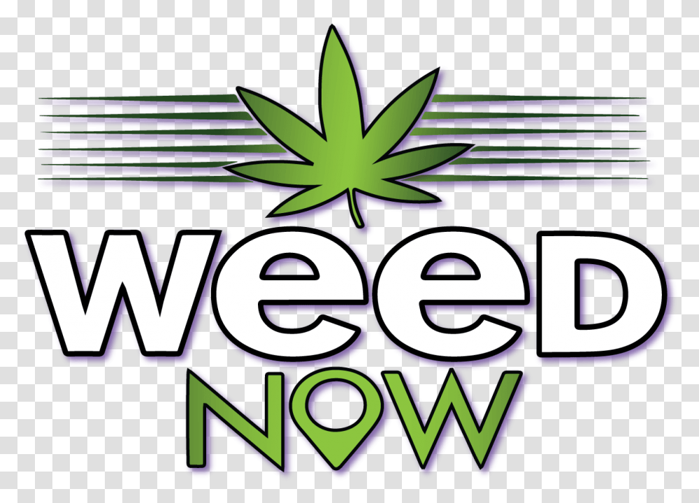 Weed Now, Purple Transparent Png