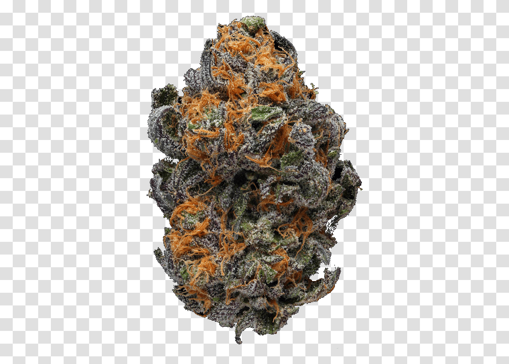 Weed Nug Background, Nature, Outdoors, Reef, Sea Life Transparent Png