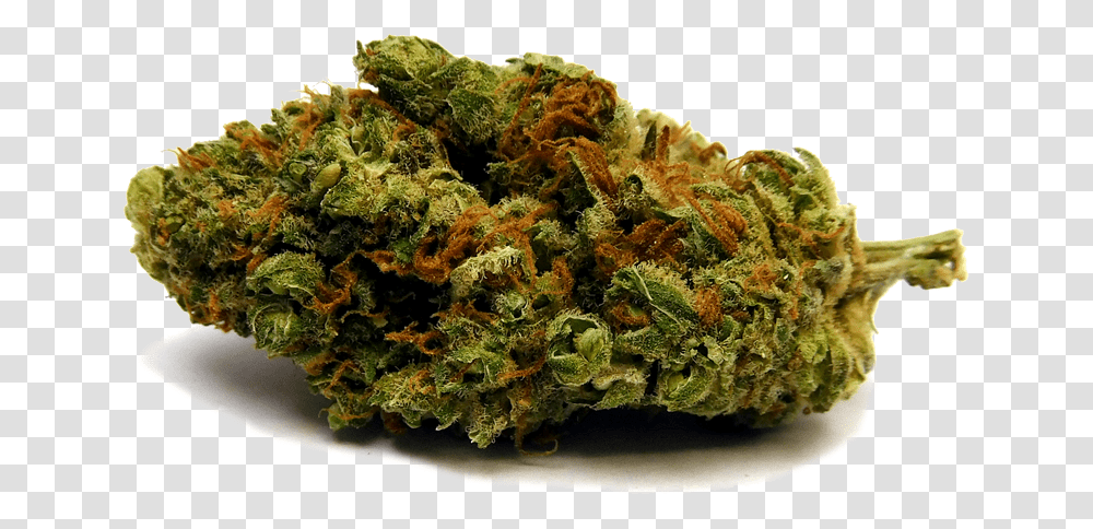 Weed Nugget Scale Model, Plant, Food Transparent Png