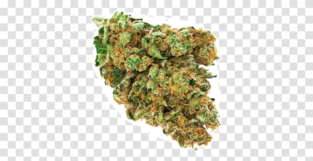Weed Nugget Weed Bud Background, Plant, Pineapple, Fruit, Food Transparent Png