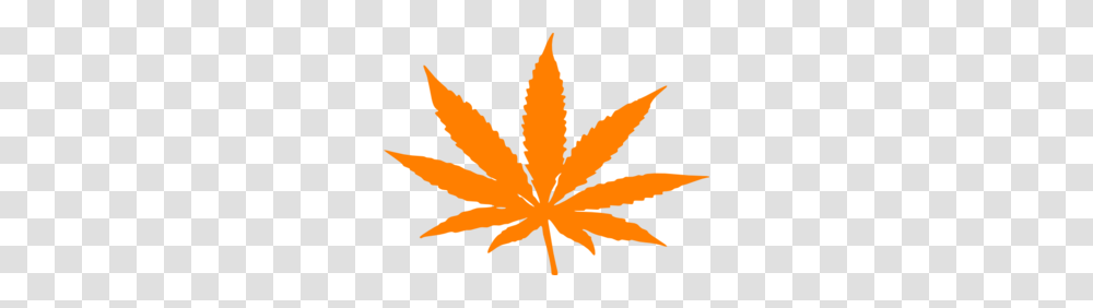 Weed Orange Clip Art, Leaf, Plant, Poster, Advertisement Transparent Png