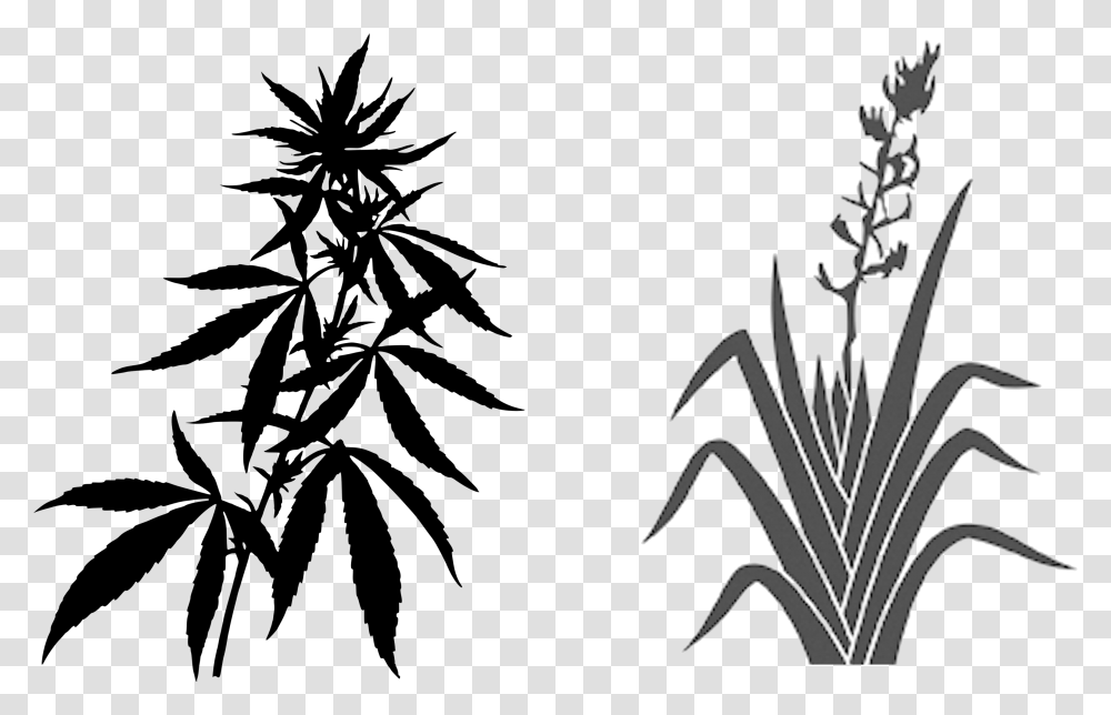 Weed Plant Cannabis Leaves Background, Animal, Mammal Transparent Png