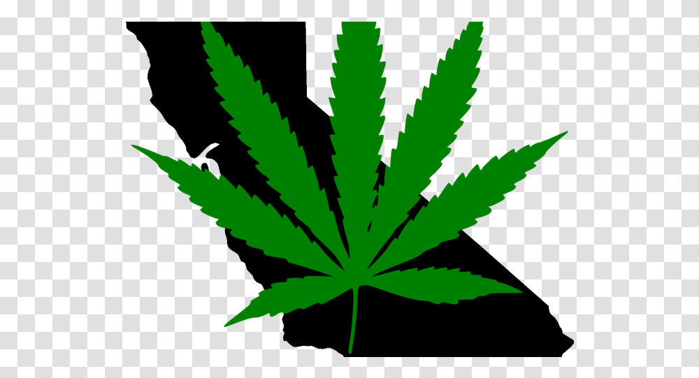 Weed, Plant, Hemp, Leaf Transparent Png