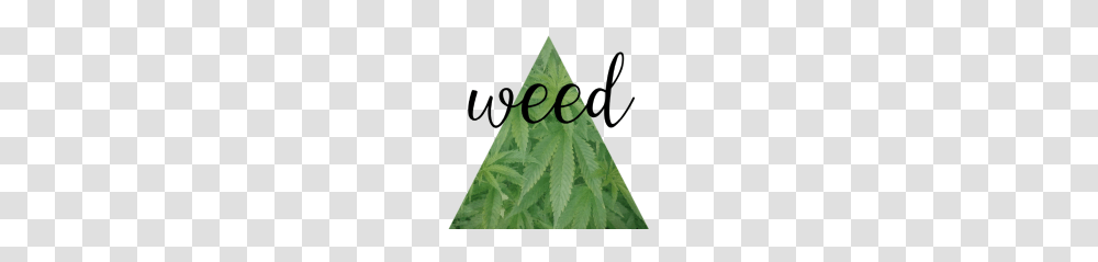 Weed, Plant, Hemp, Leaf Transparent Png