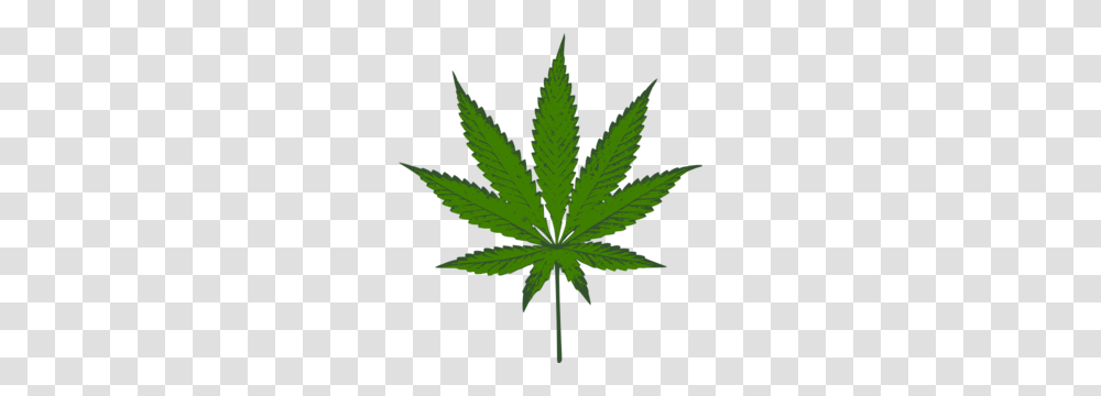 Weed, Plant, Leaf, Hemp Transparent Png