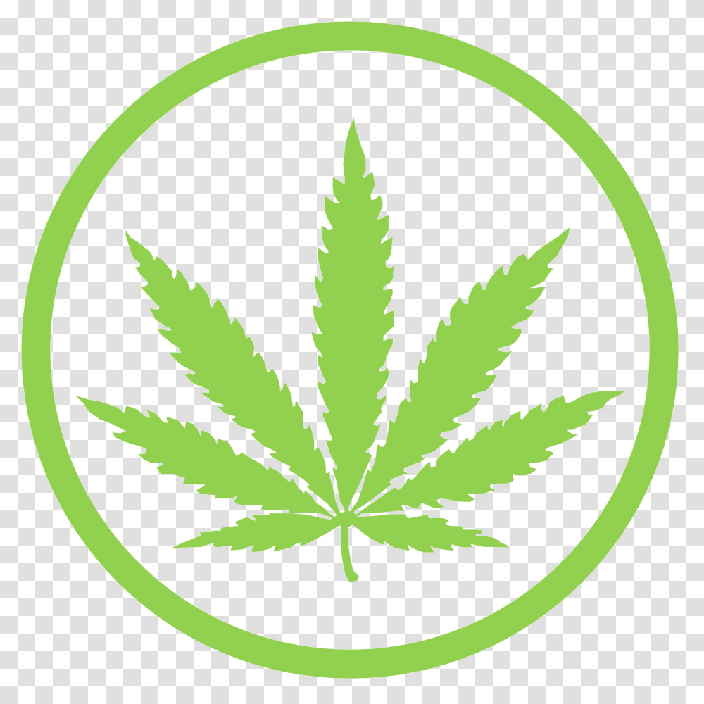 Weed, Plant, Leaf, Rug Transparent Png