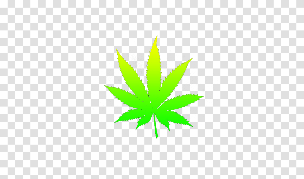 Weed Smoke, Leaf, Plant, Maple Leaf, Tabletop Transparent Png