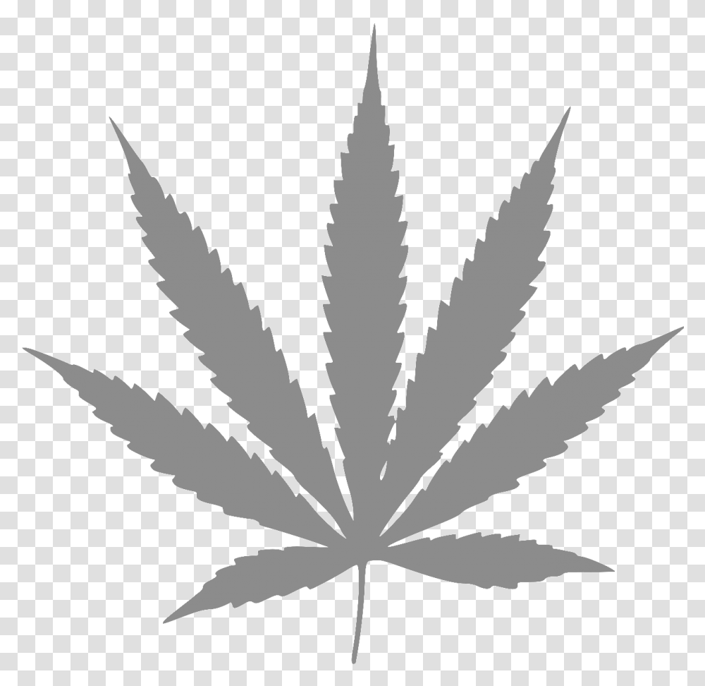 Weed Symbol, Leaf, Plant, Tree, Hemp Transparent Png