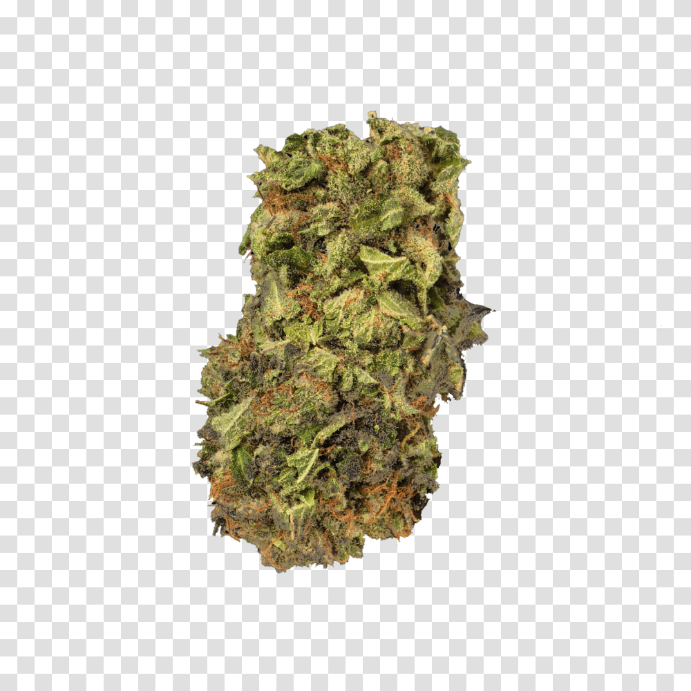 Weed Weed, Plant, Pineapple, Fruit, Food Transparent Png