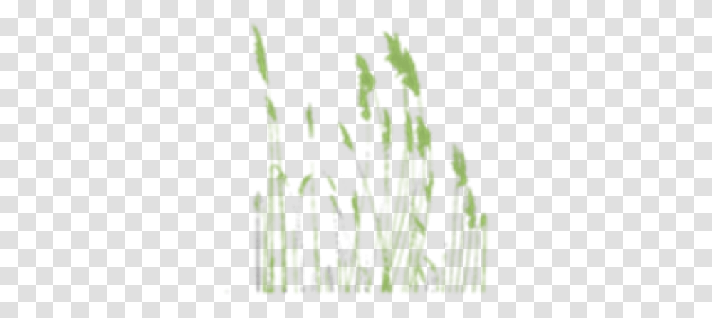 Weedsgrass Roblox, Plant, Outdoors, Nature, Water Transparent Png