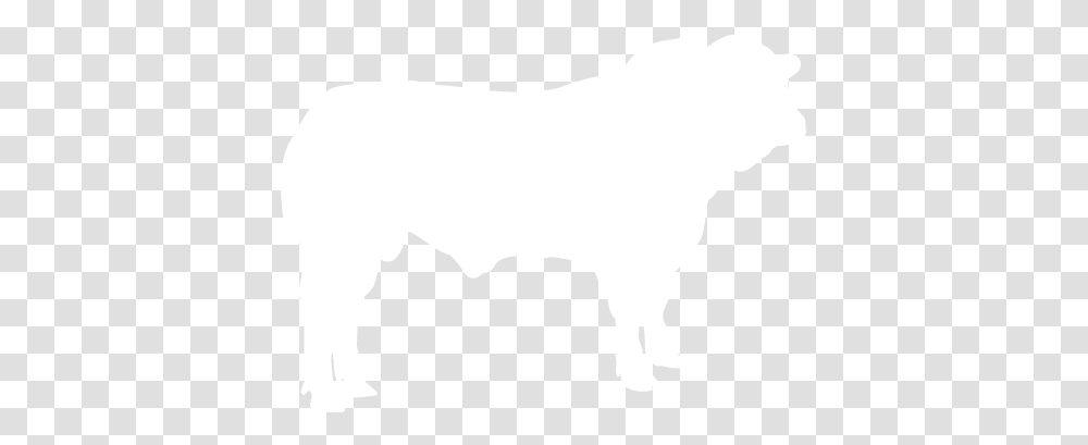 Weekly Kill Figures For Ireland Latest Cattle Kill Figures, White, Texture, White Board Transparent Png