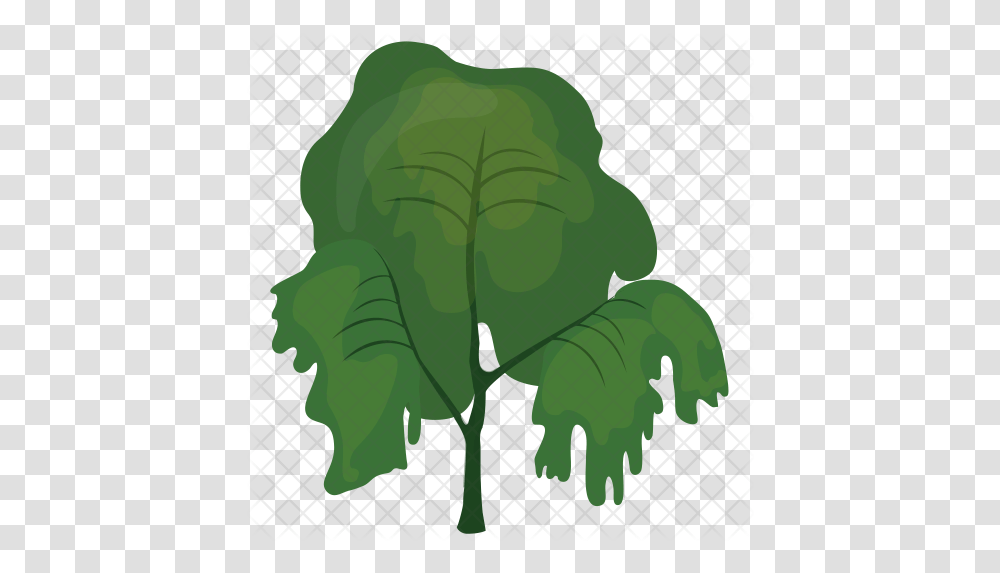 Weeping Willow Tree Icon Of Flat Style Illustration, Leaf, Plant, Green, Vegetation Transparent Png