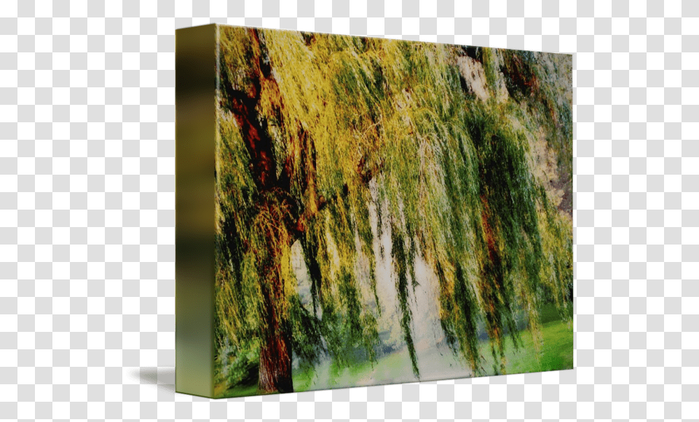 Weeping Willow Tree Ii Weeping Willow Tree Painterly Monet Impressionist Dreams, Plant, Art, Painting, Modern Art Transparent Png