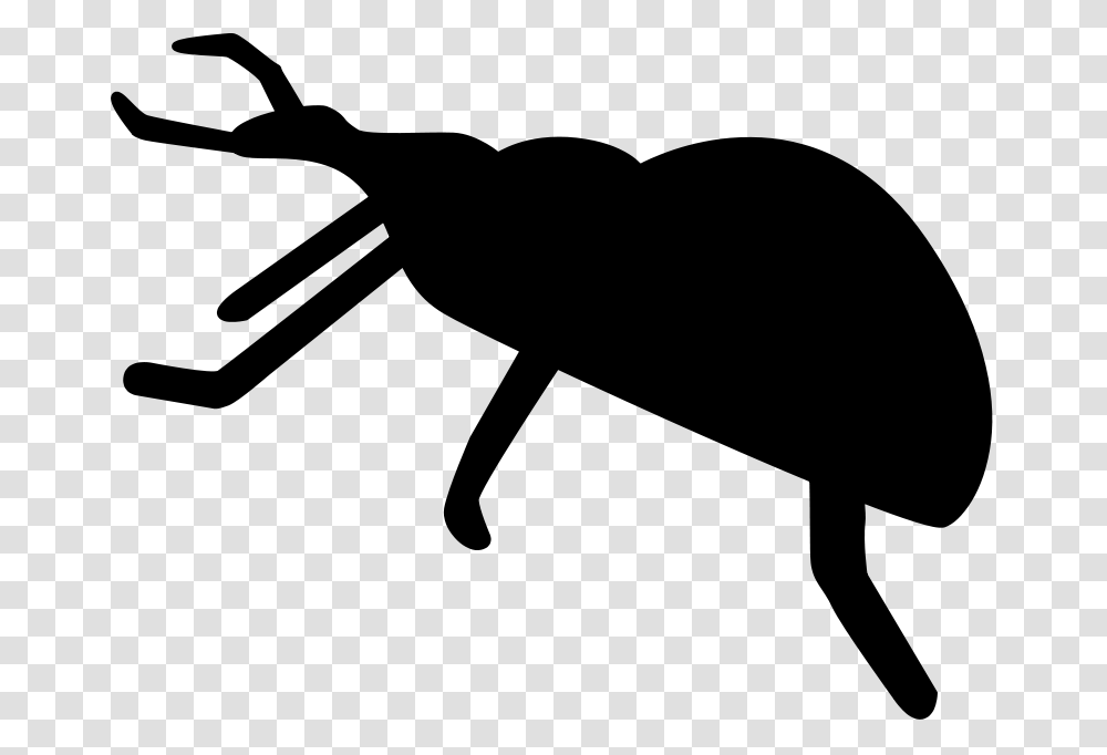 Weevil Clipart, Gray, World Of Warcraft Transparent Png